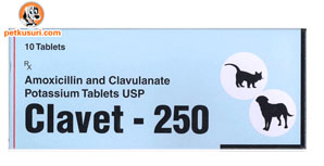 clavet250_pk__44928_zoom.jpg